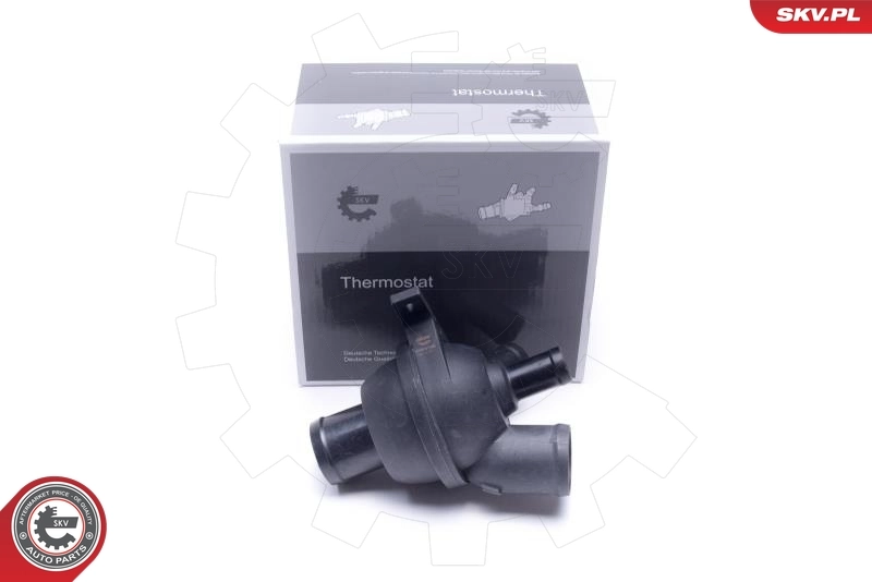Thermostat, coolant